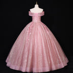 Pink Glitter Sequin Ball Gown with 3D Floral Appliqués - Back View Lace-Up